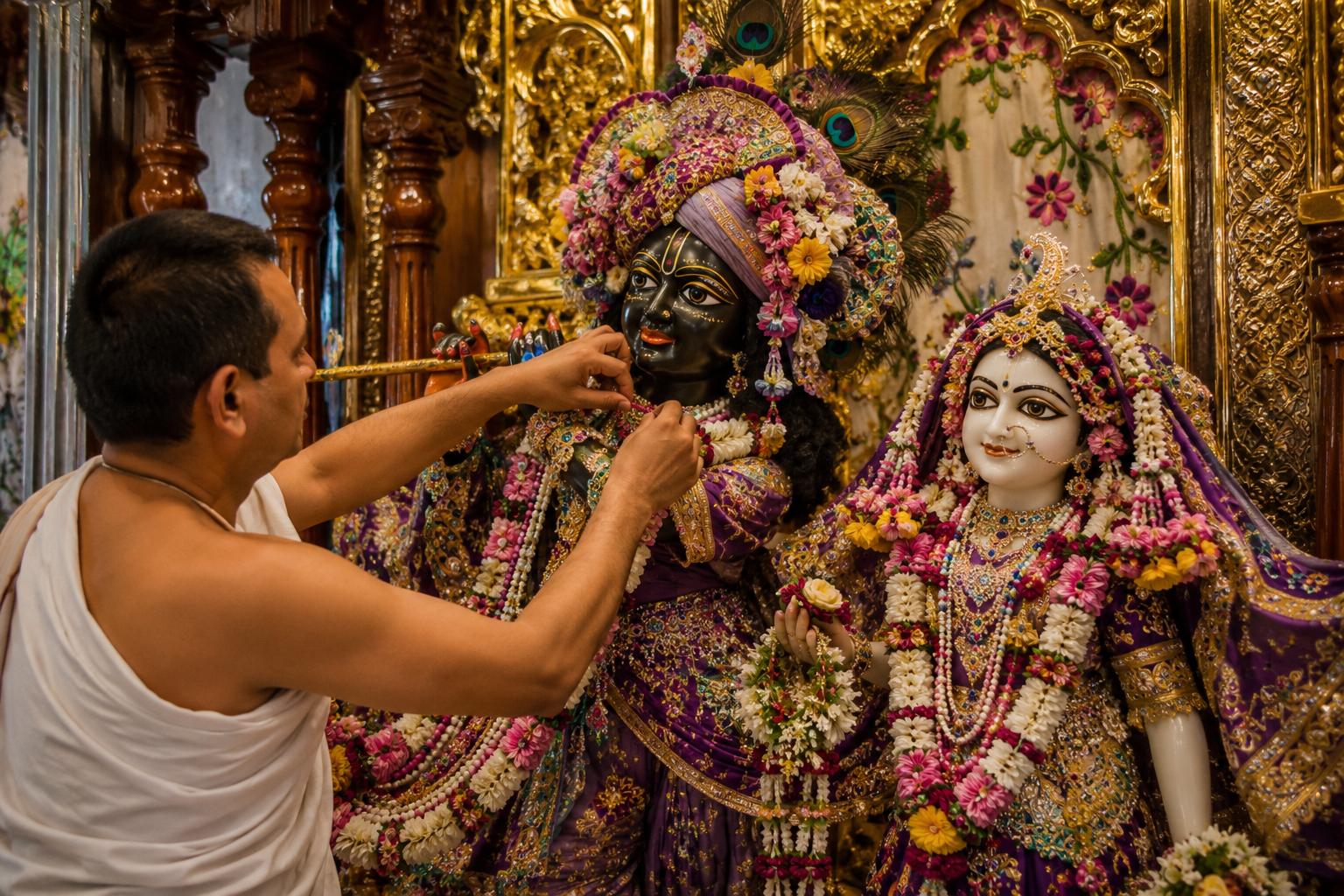 A pujari dressing Radha and Krishna with fresh flower garlands.